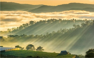 Kinh nghiệm du lịch và địa điểm nổi tiếng tại Bảo Lộc